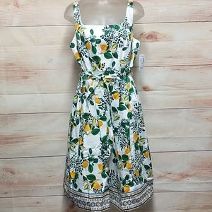 Roz & Ali Fit and  Flare Lemon Sundress size 14 P
